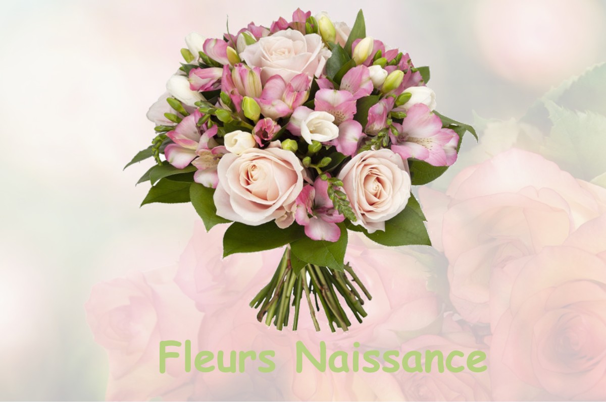 fleurs naissance CHANTERAINE