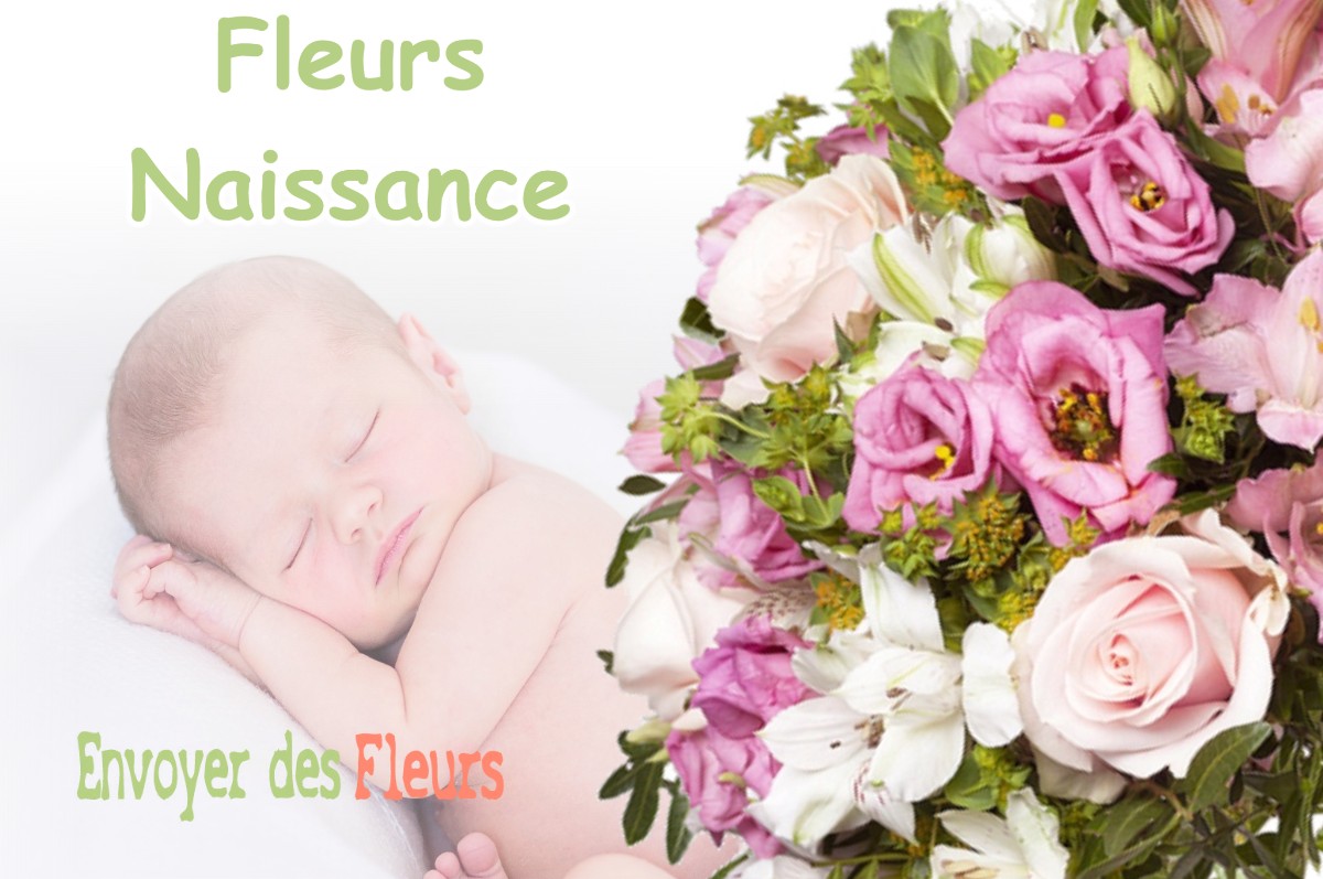 lIVRAISON FLEURS NAISSANCE à CHANTERAINE